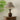 Alex Accent Table Lamp - LUUGAA