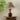 Alex Accent Table Lamp - LUUGAA