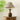 Alex Accent Table Lamp - LUUGAA
