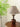 Alex Accent Table Lamp - LUUGAA
