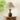 Alex Accent Table Lamp - LUUGAA