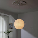 Astra Pendant Light - LUUGAA