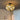 Beaded Fan Light - LUUGAA