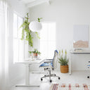 Bubble Mulberry Silk Pendant Lamp - LUUGAA