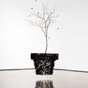 Charcoal Chandelier - LUUGAA