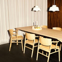 Concert Pendant Lamp - LUUGAA