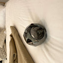 Crystal Ball Round Cluster Chandelier - LUUGAA