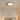 Elegant Ceiling Light - LUUGAA