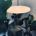 Elliptical Prism Pendant Light - LUUGAA