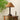 Emily Charm Table Lamp - LUUGAA