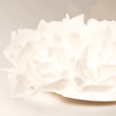 Feather Ceiling Light - LUUGAA