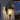 Florentine Lantern Outdoor Wall Lamp - LUUGAA