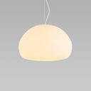 Fluid Pendant Light - LUUGAA