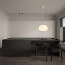 Fluid Pendant Light - LUUGAA