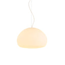 Fluid Pendant Light - LUUGAA