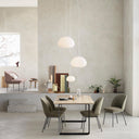 Fluid Pendant Light - LUUGAA