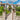 GoldenGlare Outdoor Solar Column Lights - LUUGAA