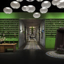 Metallic Meshwork Pendant Lamp - LUUGAA