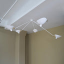 Multi - head Funnel Chandelier - LUUGAA
