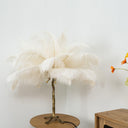 Ostrich Feather Table Lamp - LUUGAA
