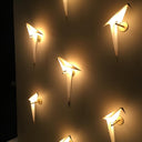 Peaceful Bird Wall Lamp - LUUGAA