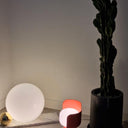 Petals Glass Table Lamp - LUUGAA