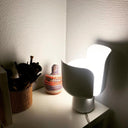 Petals Glass Table Lamp - LUUGAA