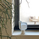 Petals Glass Table Lamp - LUUGAA