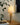 Ripple Wood Table Lamp - LUUGAA