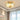 Warehouse Dome Shape Ceiling Lamp - LUUGAA