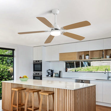 AeroLux Ceiling Fan