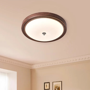 Retro Cloud Ceiling Light.