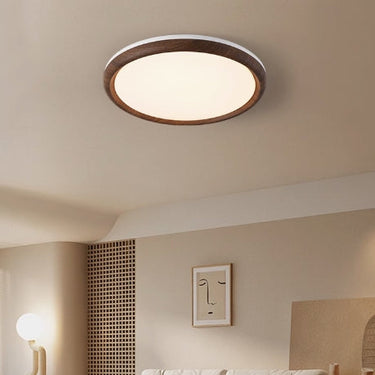 Elegant Ceiling Light