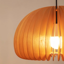 Medieval Pumpkin Pendant Light - Modern Style & Eco-Friendly LB-LY-DD-8301 $79.00 Discover our Pumpkin Pendant Light, blending medieval charm with modern style. Eco-friendly wooden body, easy button switch, and 20W LED power.