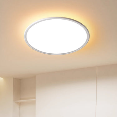 Minimalist LED Ceiling Light