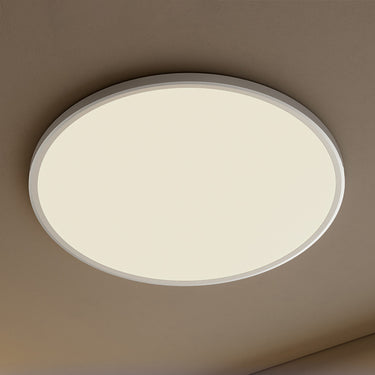 Minimalist Ceiling Light