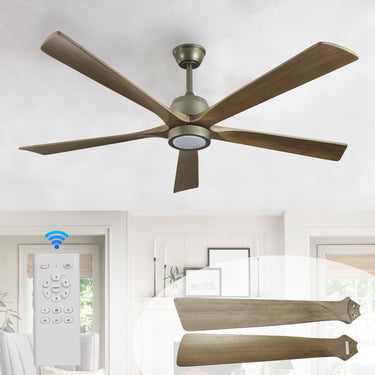 Sierra Ceiling Fan Light