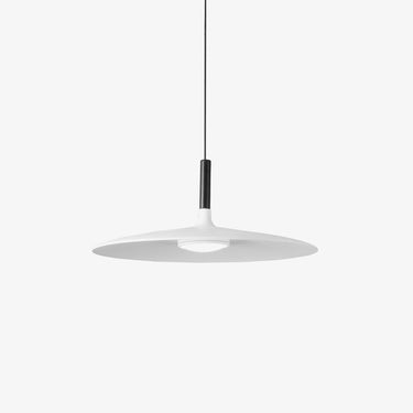 Aibaole metal Pendant Light