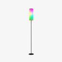 Finnian Floor Lamp: Unique & Modern Lighting LB-FD-LD-FL2002RGB $49.00 Enhance any space with the Finnian floor lamp—a unique, modern floor lamp that stands out. Illuminate your home with distinctive style!