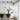 Aibaole metal Pendant Light - LUUGAA