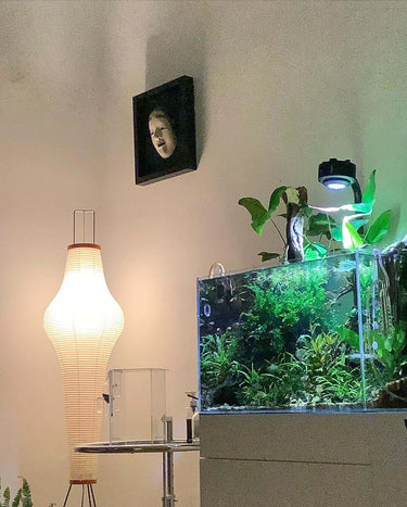 Akari Floor Lamp - LUUGAA