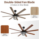 Alistair Ceiling Fan with Light - LUUGAA
