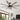 Alistair Ceiling Fan with Light - LUUGAA