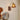 Amber Wall Light - LUUGAA