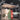 Arborescence Chandelier - LUUGAA