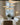 Arianna Pendant Light - LUUGAA