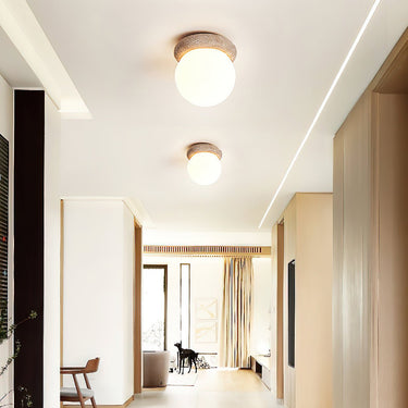 Asteroid Ceiling Lamp - LUUGAA