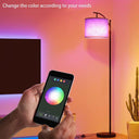 Aurora Floor Lamp - LUUGAA