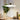 Aveline Line Pendant Light - LUUGAA