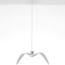 Aviara LED Pendant Light - LUUGAA